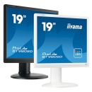 iiyama ProLite B19