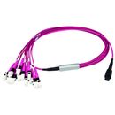 MPO Harness 12x2,1mm OM4 12LC MM 2,0m; type A, MPOm+LC MM...