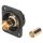 HICON BNC 3G-SDI Crimp-Einbaubuchse, Masse isoliert, Type D M3, gold