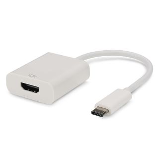 Basic  | HDMI female/USB Typ C male