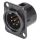 NEUTRIK® XLR, 6-pol , Metall-, Löttechnik-Einbaustecker, vergoldete(r) Kontakt(e), Type D, schwarz verchromt