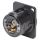 NEUTRIK® XLR, 6-pol , Metall-, Löttechnik-Einbaustecker, vergoldete(r) Kontakt(e), Type D, schwarz verchromt