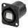 NEUTRIK® opticalCON®, Metall-, Patch-Einbaubuchse, Type D, dunkelgrau
