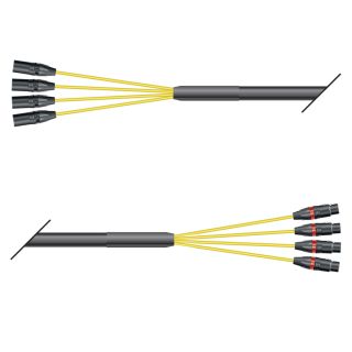 Studio Looms | 04/00 | PEGASUS | NEUTRIK XLR male | NEUTRIK XLR female | 2,00m