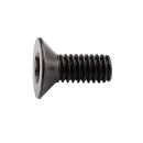 Schraube, M4 x 10 Senkkopfschraube Torx für...