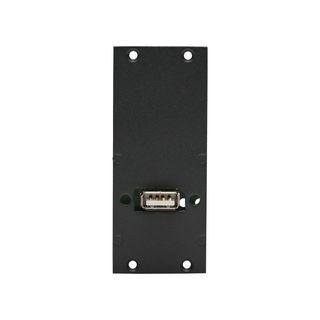Steckverbinder-Modul USB 2.0 fem. ?> Schraubklemme 4-pol., 2 HE, 1 BE fr SYS-Gehuseserien, Farbe: anthrazit, RAL 7016 | SYCFB21-USB-S