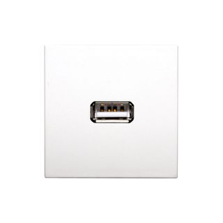 Anschluss-Modul USB-A fem. ?> Schraubklemme, Baugre: 45x45 mm, Kunststoff, Farbe: reinwei | W45KWCP-USB-S