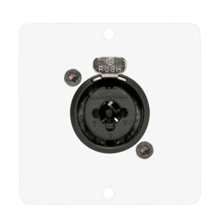 Anschluss-Modul XLR / Klinke-Combo fem. —> Schraubklemme, Baugröße: 50x50 mm, Edelstahl, Farbe: reinweiß | W50W-CP-1XJ-S