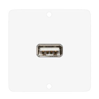 Anschluss-Modul USB-A fem. ?> Schraubklemme, Baugre: 50x50 mm, Edelstahl, Farbe: reinwei | W50W-CP-USB-S