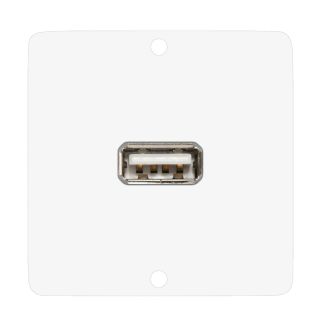 Anschluss-Modul USB-A fem. ?> Schraubklemme, Baugre: 50x50 mm, Edelstahl, Farbe: reinwei | W50W-CP-USB-S