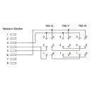 InLine® TAE Adapterkabel, RJ45 Stecker auf TAE NFN Dose, 20cm