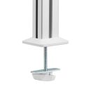 InLine® Slatwall Befestigungssäulen Aluminium, für Tischhalterung Panel, 2er Set