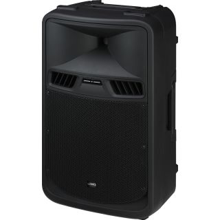 Aktive Power-PA-Lautsprecherbox mit 2-Kanal-Verstärker, 700 W PAK-412