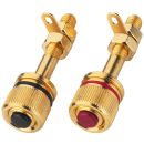High-End-LS-Polklemmen-Paar BP-530G