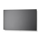 NEC MultiSync® V484