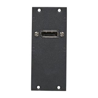 Steckverbinder-Modul 1 x DisplayPort fem. -> 1 x DisplayPort male 1,00m, 2 HE, 1 BE für SYS-Gehäuseserien, Farbe: anthrazith, RAL 7016 | SYCFB21-DP-CL99