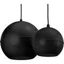 Wetterfester ELA-Kugellautsprecher EDL-412/SW