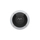 AXIS AXIS M4317-PLVE