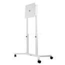 Trolley mit drehbarem Kopf für Samsung Flip 55"