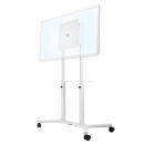 Trolley mit drehbarem Kopf für Samsung Flip 55"