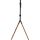 InLine® woodstand Studio TV-Standfuß, für Display 49"-70" (124-178cm), max. 40kg