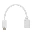 HDSupply Mini DVI/HDMI Adapter 1080p