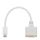 HDSupply Mini DVI/DVI Adapter 1080p