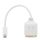HDSupply Mini DVI/HDMI+DVI Adapter 1080p