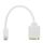 HDSupply Mini DVI/VGA Adapter 1080p