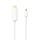 HDSupply Mini DisplayPort/HDMI Kabel 1,00m