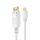 HDSupply Mini DisplayPort/DisplayPort Kabel 1,00m