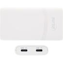 InLine® USB Netzteil Ladegerät, Dual USB-C, PD, PPS, 65W, flach, weiß