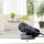 AVerMedia Live Streamer CAM 313 - Full HD 1080p30 Webcam