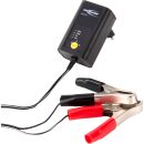 ANSMANN 1001-0015 ALCS2-12 Steckerladegerät für...