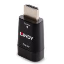 HDMI auf VGA Konverter
