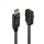 DisplayPort auf HDMI Konverter