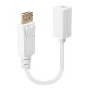 Adapterkabel DP (DisplayPort) an Mini-DisplayPort Kupplung