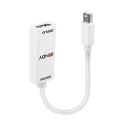 Mini DisplayPort auf HDMI Konverter