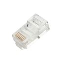RJ45 Stecker UTP Cat.5e, 10er Packung