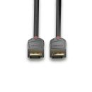 1m DisplayPort 1.4 Kabel, Anthra Line