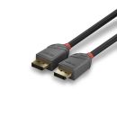 1m DisplayPort 1.4 Kabel, Anthra Line